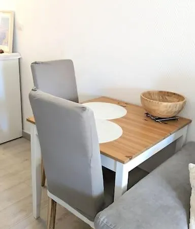 公寓 Studio Avec Terrasse Ensoleillee Et Piscine 尼斯
