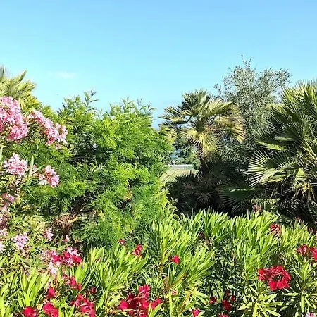 公寓 Studio Avec Terrasse Ensoleillee Et Piscine 尼斯